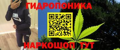 метадон Донской